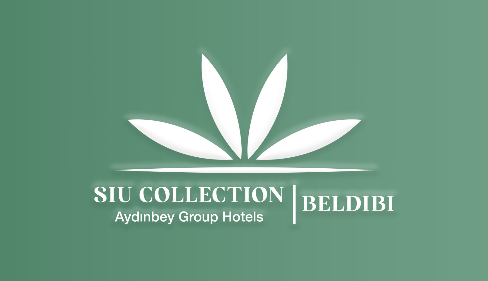 Aydınbey Siu Collection